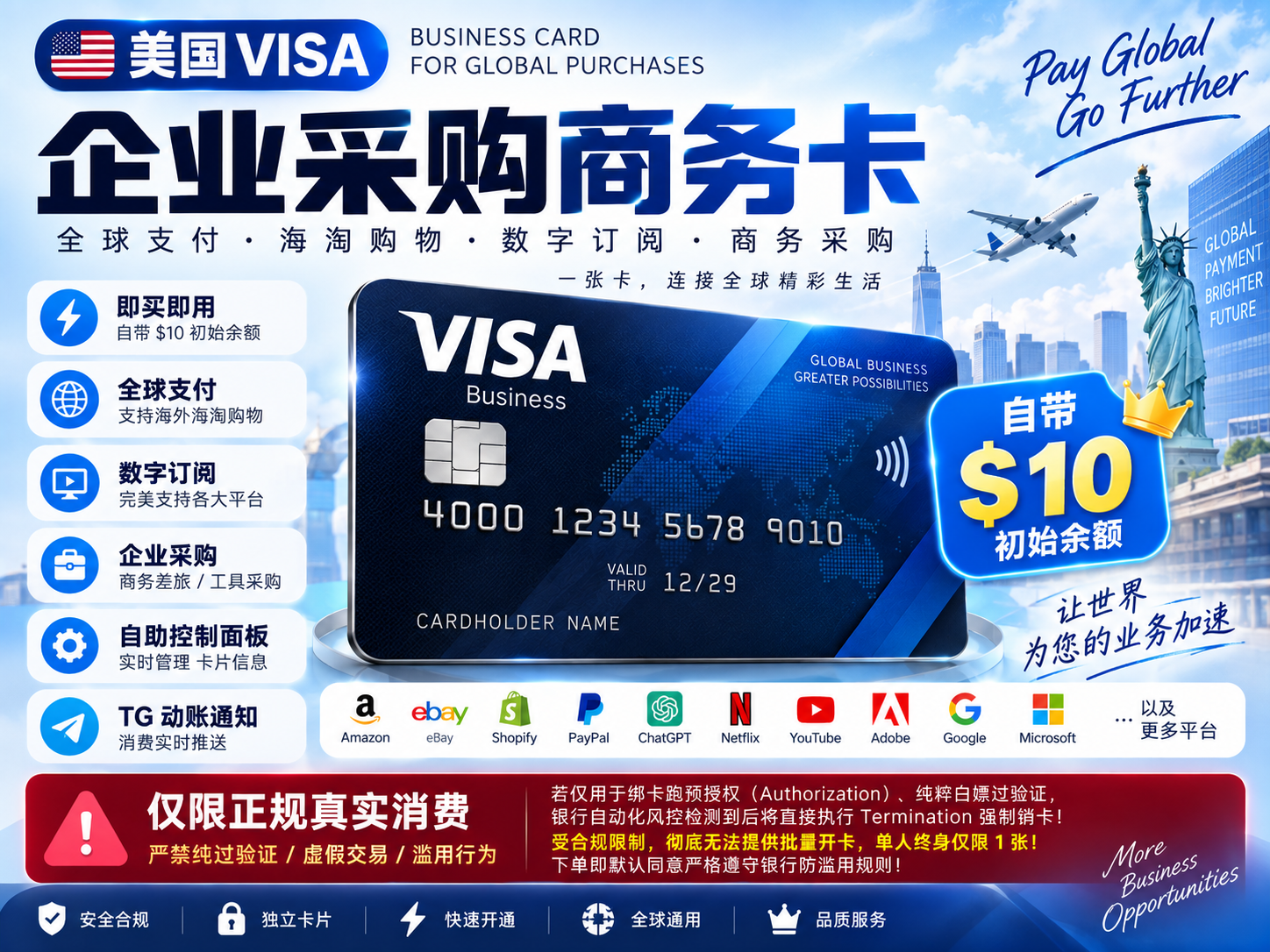 美国 VISA 企业贷记卡